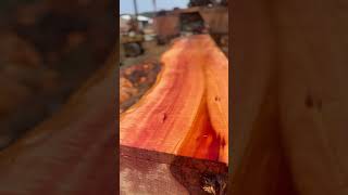 Madrone lumber amp furniture stock beautiful madrone sawmill woodmizer lumber furniture wood [upl. by Nealon]