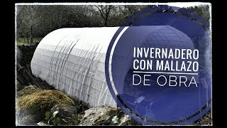 Vlog  Capítulo 49  Mi nuevo invernadero hecho con mallazo de obra [upl. by Biles859]