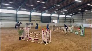 Salitos  Show Jumper  Bravour  2011  Gelding [upl. by Nnarefinnej]