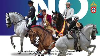 XXXIV Festival Internacional do Cavalo Lusitano 2023 Clip [upl. by Ahsein194]