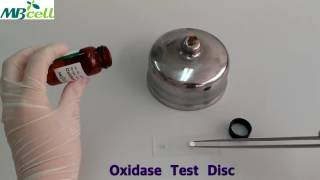 Oxidase Test Disc [upl. by Nuli]