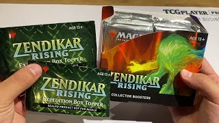 Zendikar Rising Collector Box Opening 1  Early Look HYPE IS RISING FOIL EXPEDITIONS ZNR [upl. by Juliette]