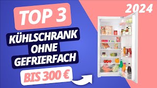 Der BESTE KÜHLSCHRANK OHNE GEFRIERFACH 2024 unter 300 Euro  TOP 3 Modelle im VERGLEICH [upl. by Olegnaleahcim]