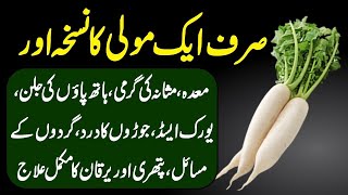 Radish Benefits Moli K Fayde For Uric Acid Kidney Weight Loss And Diabetes Treatment Urdu Hindi [upl. by Aissac367]