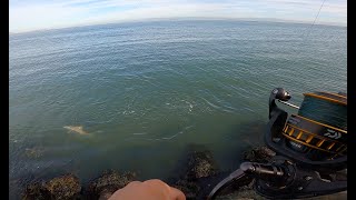 San Francisco Bay fishing [upl. by Bj]