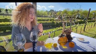 Olive Oil Tasting and Tenuta Torciano tour [upl. by Alraep836]