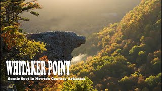 Whitaker PointHawksbill Crag Scenic spotWhitaker Point TrailOzark National Forest4k [upl. by Lleret]