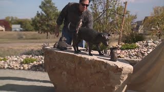 Marshall Fire victims remember the 1000 lost pets at memorial unveiling in Louisville [upl. by Stefanie832]