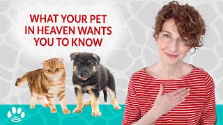 My Cat or Dog Just Died  How to Handle Passing of a Pet Right Now [upl. by Jim]