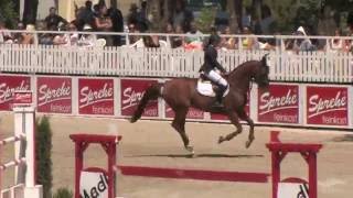 Alessandra Reich and U Mijnheer Austrian Championships Young Rider Final 2015 [upl. by Gnilyarg288]