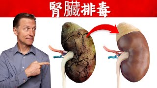 腎臟排毒方法和8種食物柏格醫生 Dr Berg [upl. by Anina]