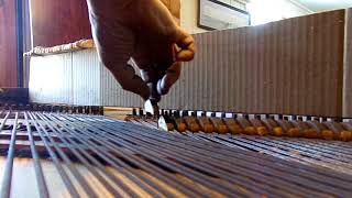 Chickering square grand piano 1863 removing a damper [upl. by Favian]