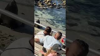 Sea lion charges at people on San Diego beach [upl. by Connie275]