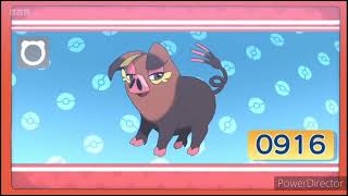 Oinkologne Pokédex Entrywmv [upl. by Nnael]