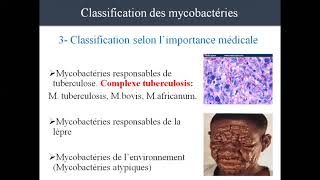 bacteriologie [upl. by Stone]