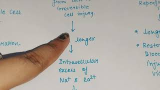 ischaemic reperfusion injury in hindi  pathology in hindi [upl. by Girvin]