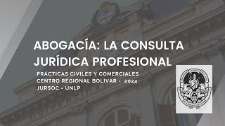 Consulta jurídica profesional [upl. by Ozzie284]