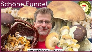 Seltene Pilze  Eichhase amp Schwarzer Steinpilz  Schöne Pilzfunde Pilze sammeln im Juni 2024 [upl. by Leifer997]