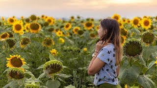 DOBROGEA  The Incredible Beauty of Romania [upl. by Ingeberg]