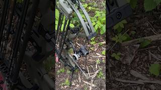 Hoyt RX8 Build hoytarchery archery bowhunting 3darchery [upl. by Euell705]