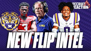 LSU Recruits React to THRILLING Win Over Ole Miss  New Prediction for Tigers To Land ELITE Recruit [upl. by Iosep]