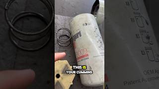 Diesel Engine Oil filter internals automobile mechanic carmaintenance [upl. by Zosi]