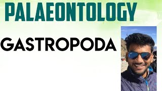 Geologypalaeontology lecture series Gastropoda [upl. by Htir]