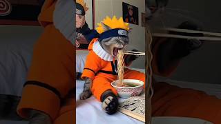 Naruto Cat eating ramen 🍜 🙀💀  Huh [upl. by Houlberg]