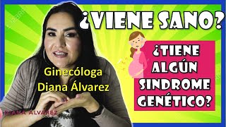 ⚠¿Cómo saber si viene SANO PRUEBAS de DETECCION de SINDROMES GENETICOS  GINECOLOGA DIANA ALVAREZ [upl. by Klinger394]