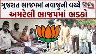 Amreli BJP માં ભડકો નગરપાલિકાના પ્રમુખ સામે અવિશ્વાસ દરખાસ્ત  BJP Gujarat [upl. by Muirhead]