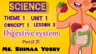 Digestive system  Science  Grade 4  Unit one  Concept one  Lesson three  p1  2025 [upl. by Sidell]