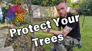 Protect Your Trees and Prevent Girdling [upl. by Hillery]