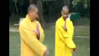 Shifu Shi Heng jun Training Shifu Kanishka Sharma in Traditional Shaolin [upl. by Limemann]