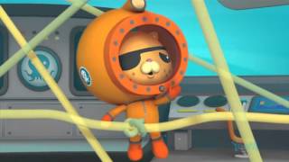 3x14 Les Octonauts et la méduse à crinière de lion [upl. by Eiltan]