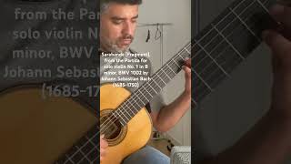 Sarabande BWV 1002 by J S Bach guitar bach segovia classicalguitar violin music [upl. by Damiano]