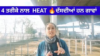 cows mein HEAT aane ke SYMPTOMS ❌♨️👍 [upl. by Renba297]