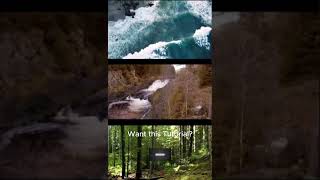 Inshot Multi Layer Video Short Preview tutorial inshotapp inshot [upl. by Hgielrac]