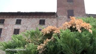 San Damiano Al Colle [upl. by Brooke675]