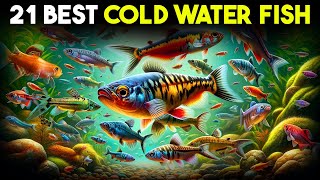 Top 21 Cold Water Fish for Your Aquarium That Wow [upl. by Lenhart]