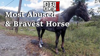 Scarred Black Rabicano  Unique Horse in Red Dead Redemption 2 [upl. by Hcra183]