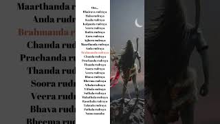 Rudra Shiva stotram lyrics with song [upl. by Ariella]