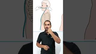 Procedure Nasogastric  NG Tube  Fundamental of Nursing  Testpaperlive shorts ngtube nursing [upl. by Rider369]