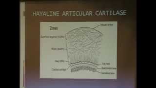 Normal articular cartilage how does it suits its function  D Mohamed Tag [upl. by Cody]