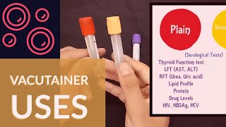 Blood Collection Vacutainer  Uses  Ateev Chandna [upl. by Salb243]