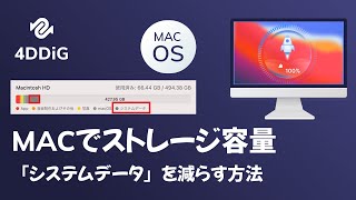 Macでストレージ容量の「システムデータ」を減らす方法  空き容量を増やす [upl. by Ahsikit920]