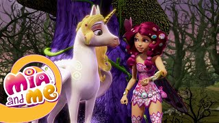 Mia and me  The Wizened Woods  Season 1  Episode 14 [upl. by Kreager]