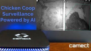 Installing a Chicken Coop Camera Powered by Camect AI [upl. by Laurance623]