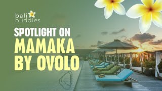 Spotlight on Mamaka By Ovolo [upl. by Digdirb]