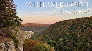 Fall Foliage Hike to Whitaker Point Hawksbill Crag  Arkansas Ozark Mountains  Ambient  4K [upl. by Eeldarb]