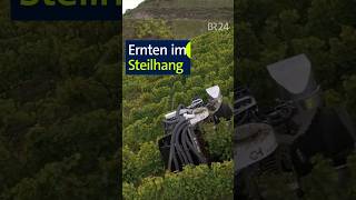 Ernten im Steilhang unserland modernelandwirtschaft shorts [upl. by Boone]